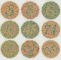 table warna table warna