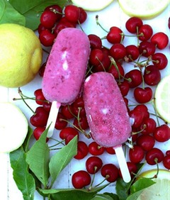 polo-frutos-rojos-cerezas-lactosa-L-qk7PSN (1) polo-frutos-rojos-cerezas-lactosa-L-qk7PSN (1)