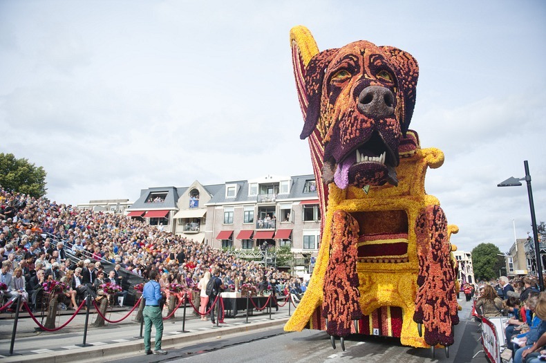 Bloemencorso-zundert-7 Bloemencorso-zundert-7