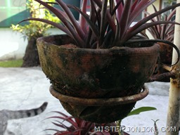 WP_20121130_068 WP_20121130_068
