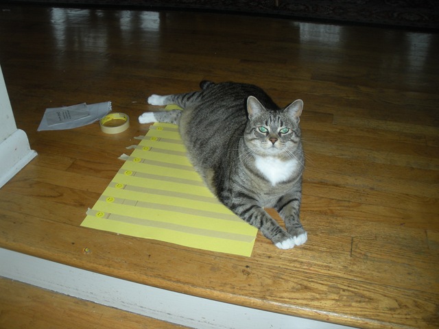 [DSCN5139%255B2%255D.jpg]