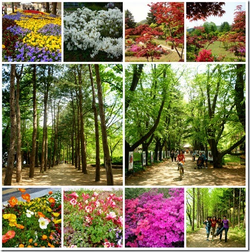 spring_seoulcollage