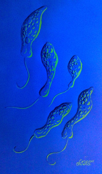 Dansul euglenelor verzi desen fluorescent - Euglena viridis drawing