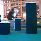 169_6952.JPG