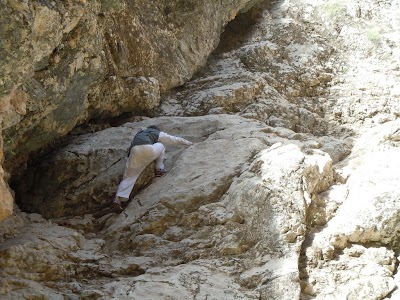 DSCN3929.jpg