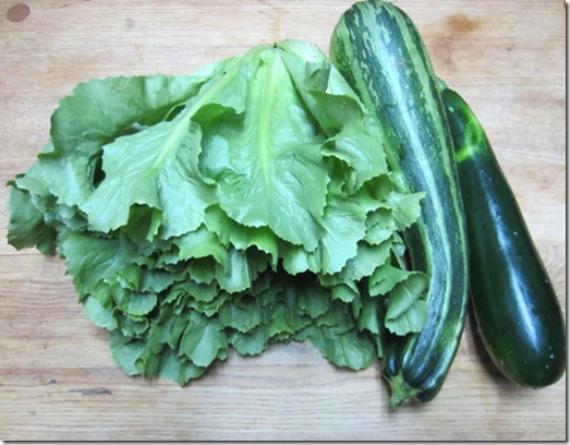 Escarole, Costats Romanesco and Dunja zucchini