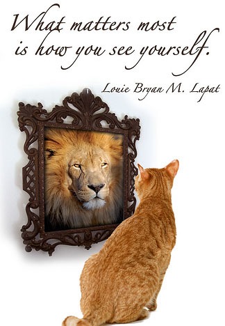 [confidence-cat-mirror-lion-self-image%255B4%255D.jpg]