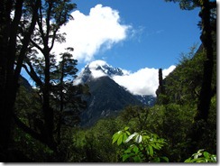 IMG_4952 IMG_4952
