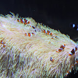 IMG_4796.JPG