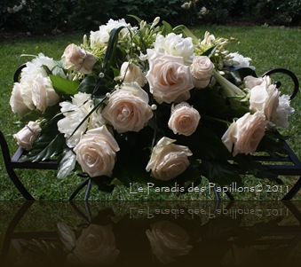 IMG_5709 IMG_5709