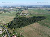 Ceraz_001.JPG