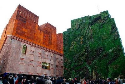 Patrick Blanc is known as the king of urban greenscapes. His latest green wall creation, at Madrid’s newly opened Caixa Forum museum, has 15,000 plants of 250 different species.