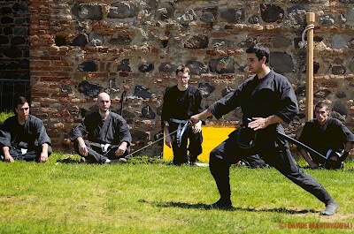 Enbu-castello22.jpg