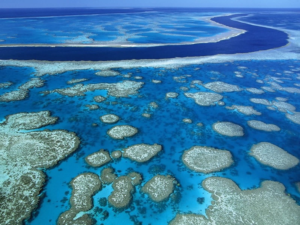 [great-barrier-reef-marine-park-queensland-australia%255B3%255D.jpg]