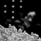 pop%252520corn%252520a%2525203.jpg