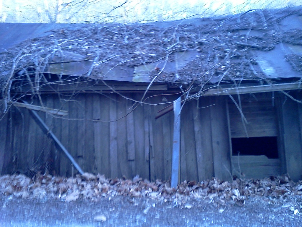 [IMG_20120104_164324%255B5%255D.jpg]