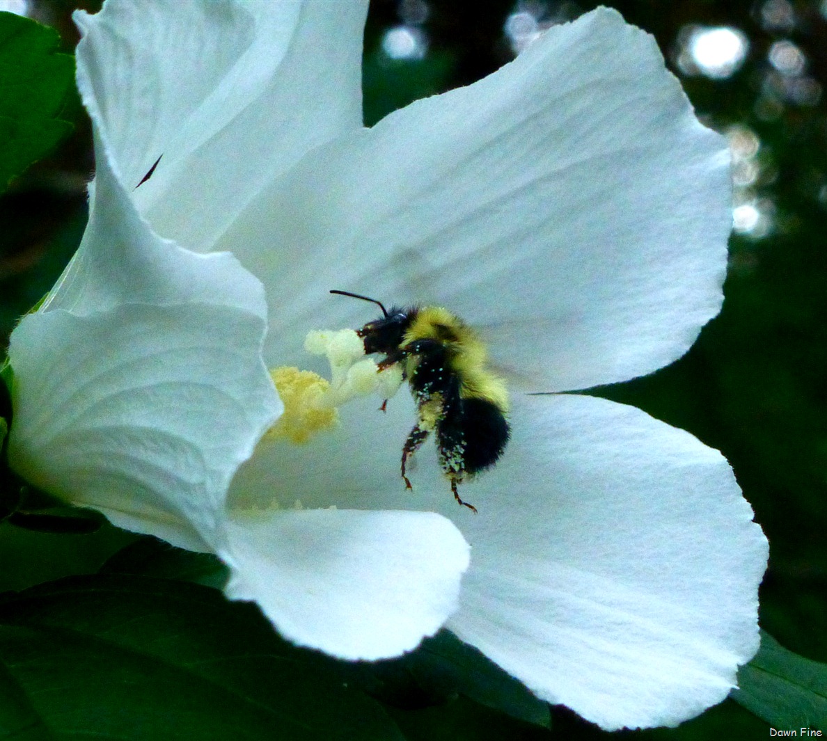 [Lexington%2520walk_063%255B16%255D.jpg]