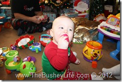 IMG_0613 IMG_0613