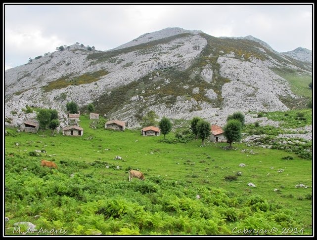 Picos 618 Picos 618