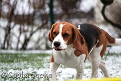 IMG_8866 IMG_8866