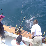 Pennsalvanyia 2005 - lake%252520ontario%252520fishing%25252011.jpg