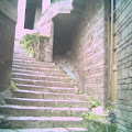 20111026130957.JPEG
