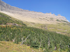 glacier_national_park_-_2007