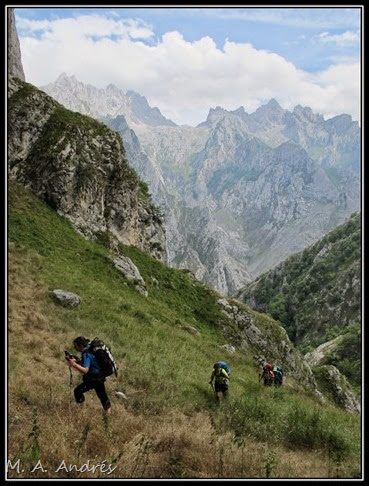 Picos 504 Picos 504