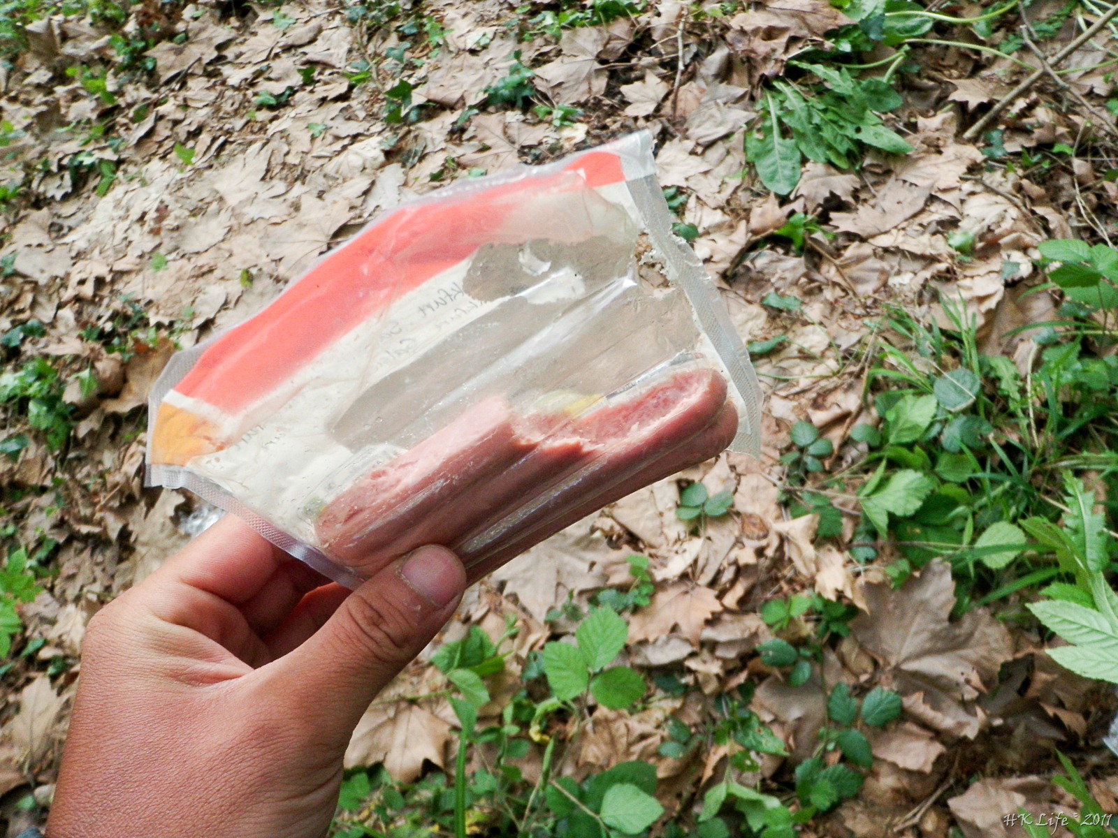 [P4172205%255B3%255D.jpg]