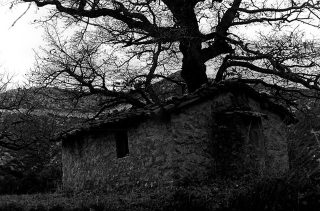 © 2012 Photo by Ηλέκτρα Τσαγκανά © 2012 Photo by Ηλέκτρα Τσαγκανά
