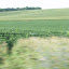 dscf5142.jpg dscf5142.jpg