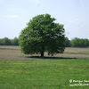 dsc06862.jpg