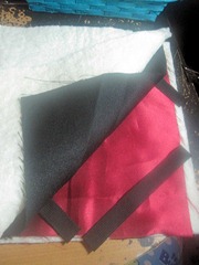 IMG_0455 IMG_0455
