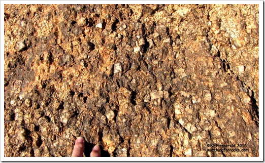 IMG_8642 Megacrystic Granite IMG_8642 Megacrystic Granite