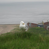 Helgoland 2009 / varen Zuiderzee