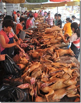 dog-meat-5_1535667a