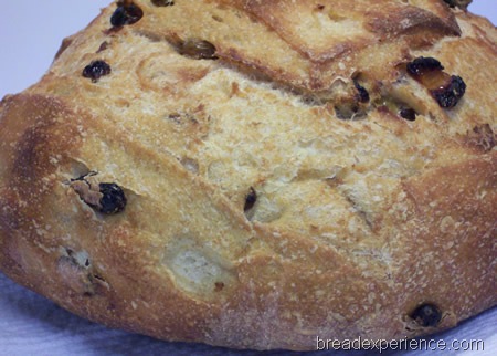 [golden-raisin-bread%2520054%255B3%255D.jpg]