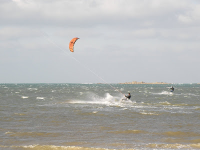 SANY0022.JPG
