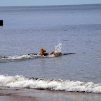 20100826_016_small.JPG