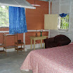 P1010004.jpg