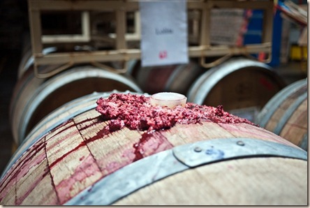 goodbeer hunting- gi barrel - red crust goodbeer hunting- gi barrel - red crust
