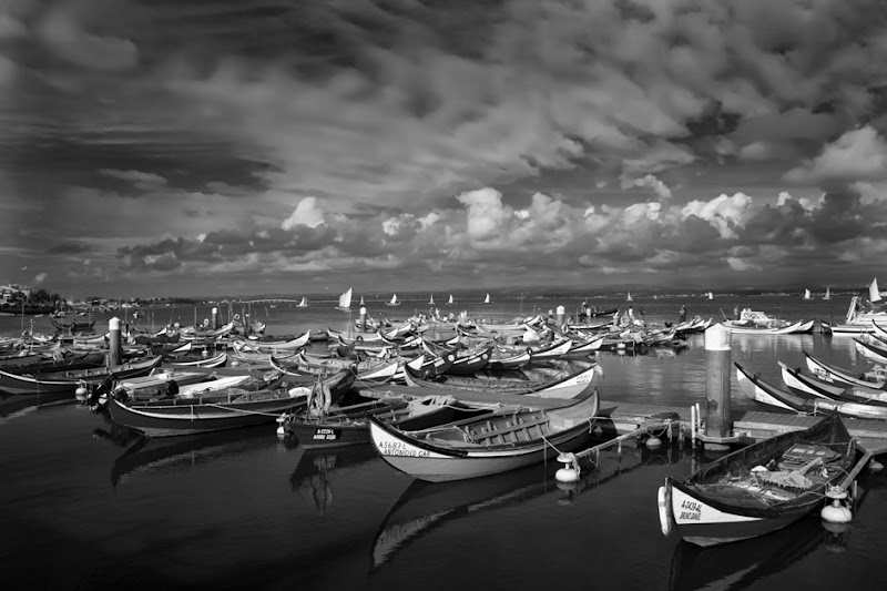 AMC_2862bw