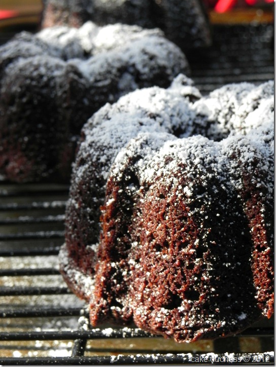 chocolate-espresso-mini-bundt-cakes-1 chocolate-espresso-mini-bundt-cakes-1