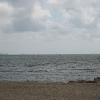 IMG_7142.JPG
