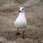 20100822_166_small.JPG