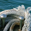 DSCF3935.JPG