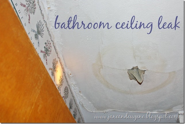 bathroom ceiling