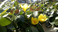 2011-03-02_14-03-52_127.jpg