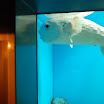 hokkaido_526.jpg