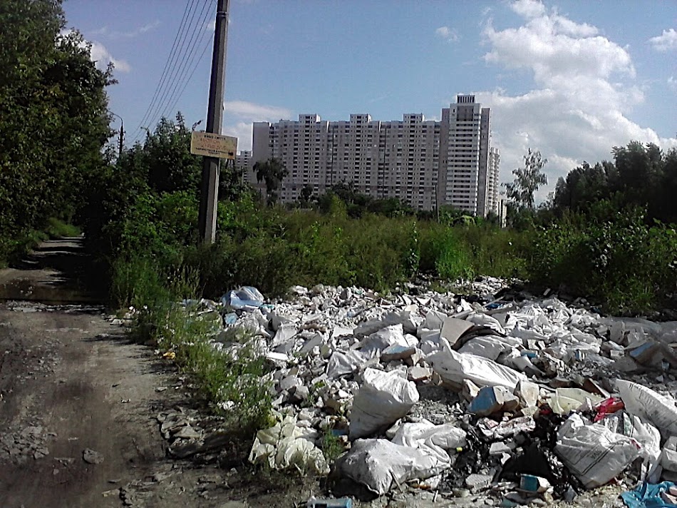 P200811_15.08.jpg